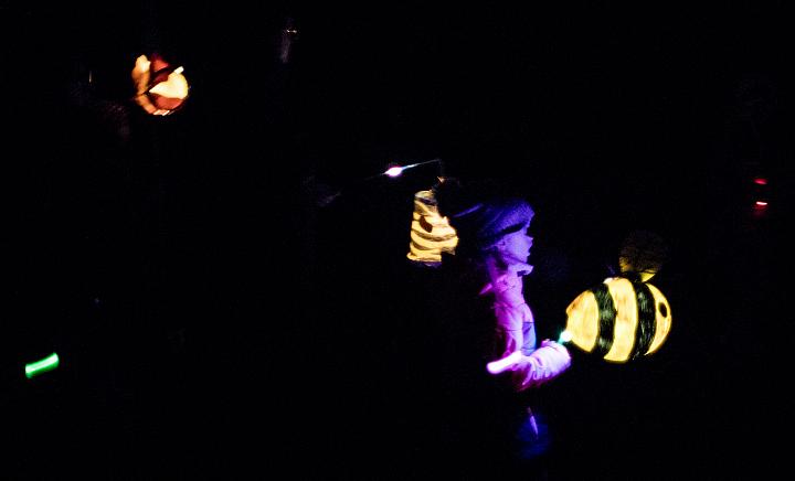 Bild: 20231111-184938.jpg